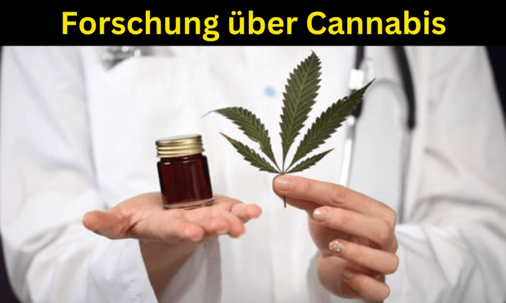 Forschung über Cannabis