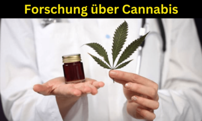 Forschung über Cannabis