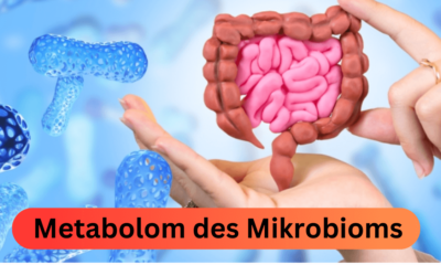 Metabolom des Mikrobioms