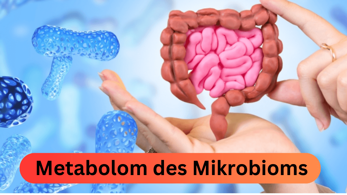 Metabolom des Mikrobioms