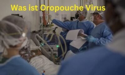 Was ist Oropouche Virus : kennen Sie die Symptome dieser
