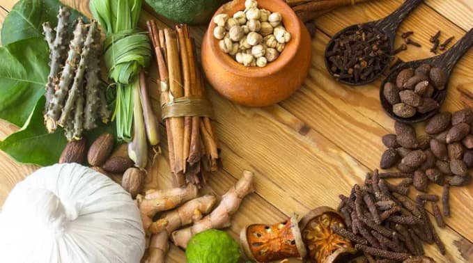 Wellhealth Conseils de santé Ayurveda France