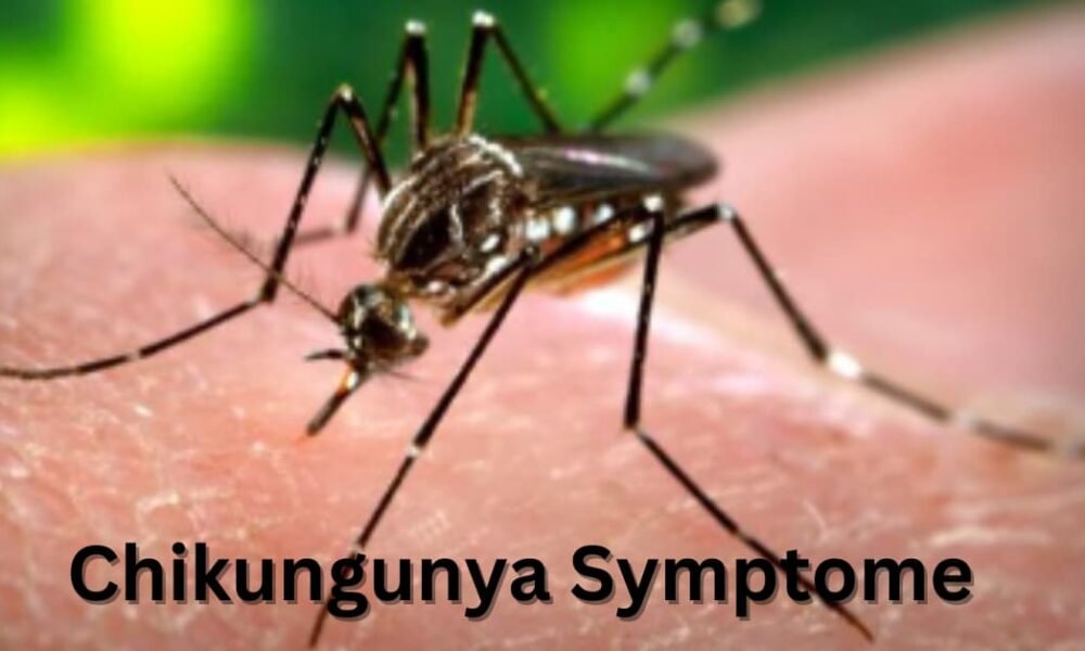 Quels sont les Chikungunya Symptome :Causes, diagnostic et traitement