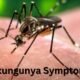 Quels sont les Chikungunya Symptome :Causes, diagnostic et traitement