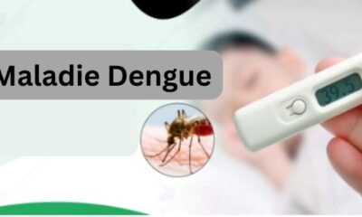 Qu'est-ce que la Maladie Dengue ?