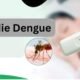 Qu'est-ce que la Maladie Dengue ?