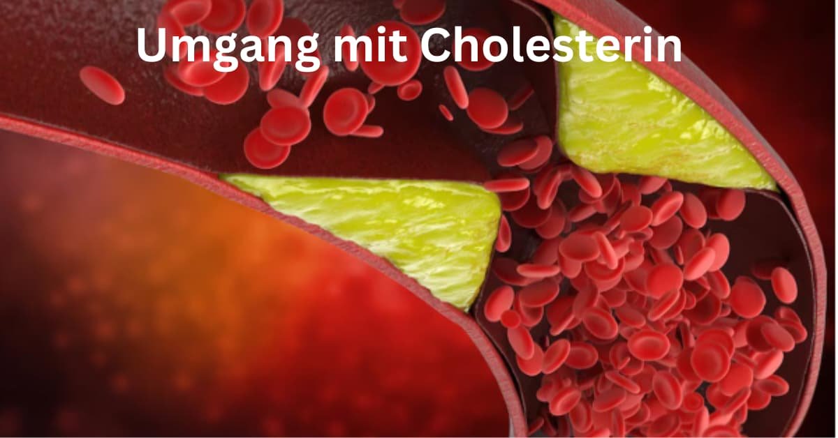 Umgang mit Cholesterin: Tipps, um es in Ihrer Ernährung