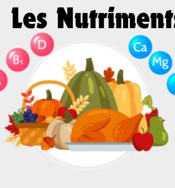 Que sont exactement les nutriments? anti nutriments, Types, & Exemples